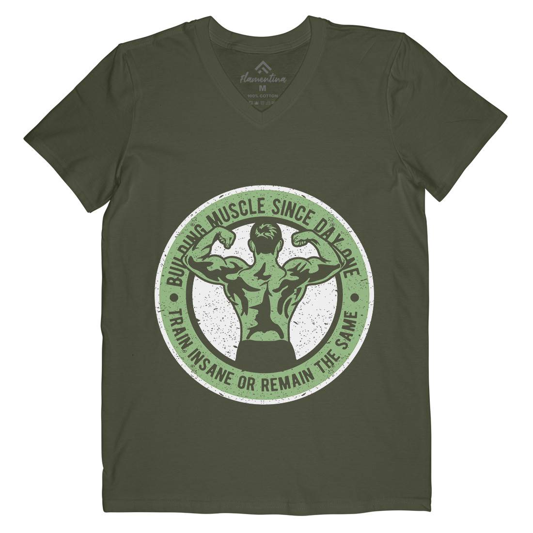 Building Muscle Mens Organic V-Neck T-Shirt Gym A022