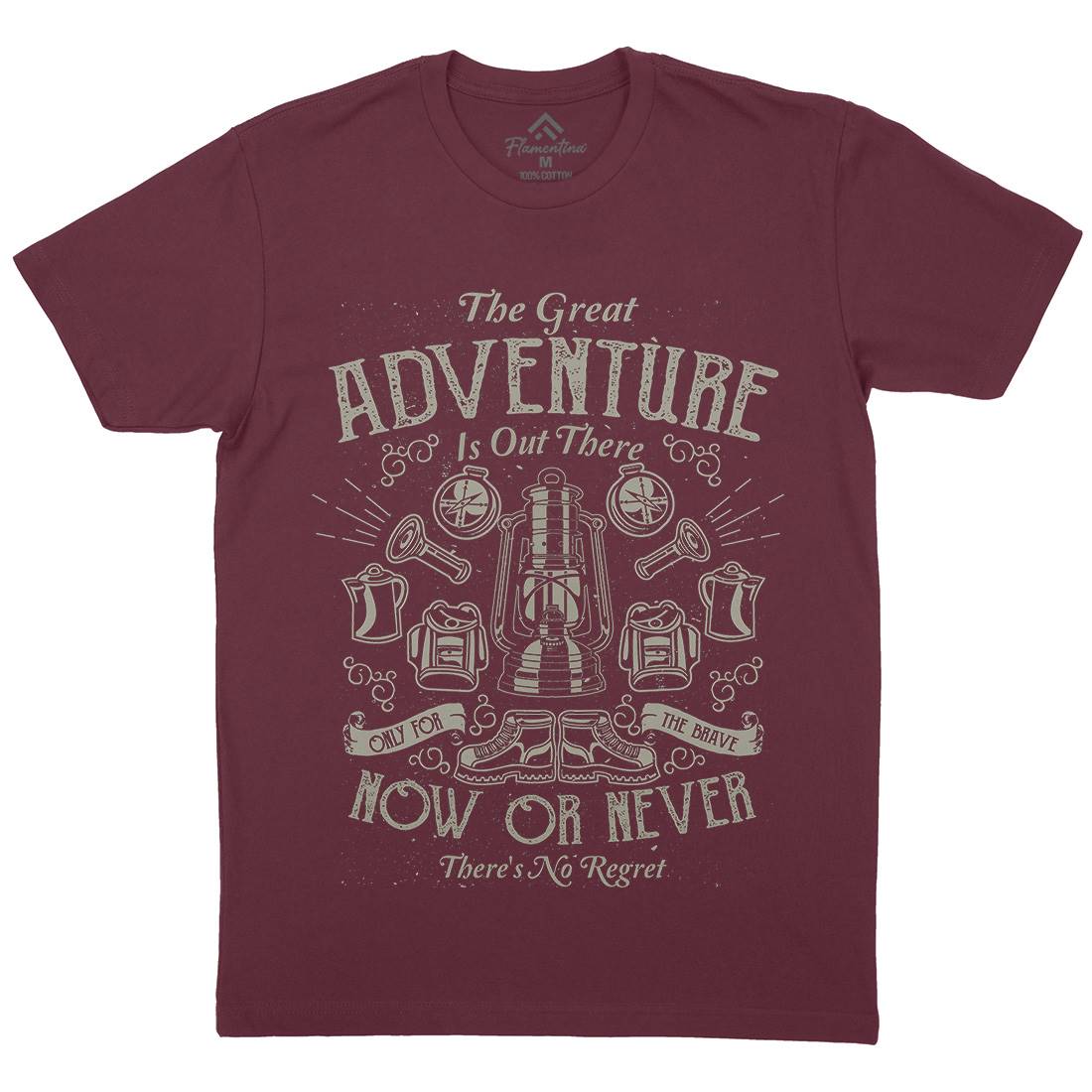 Great Adventure Mens Organic Crew Neck T-Shirt Nature A173