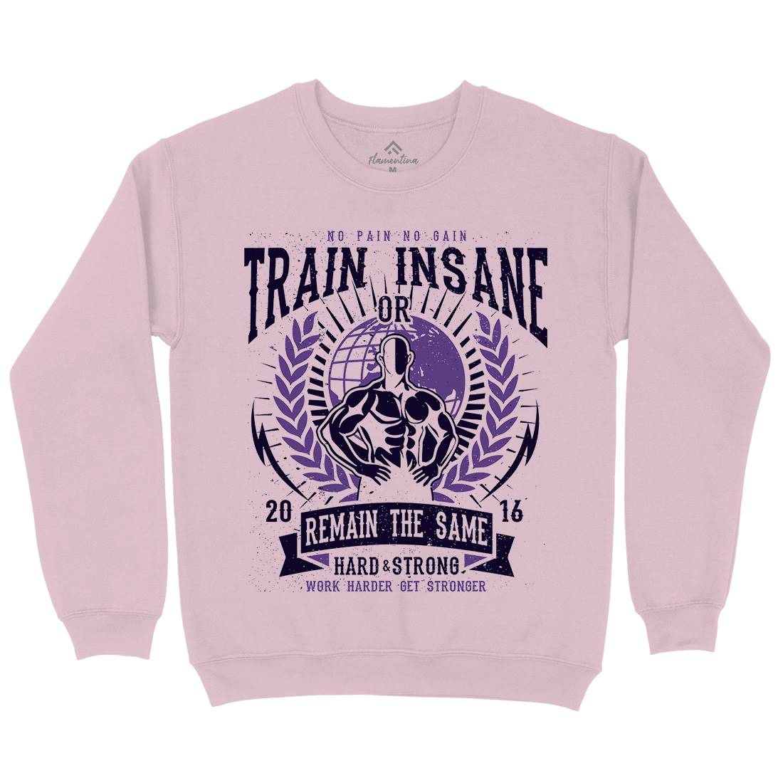 Train Insane Kids Crew Neck Sweatshirt Gym A183