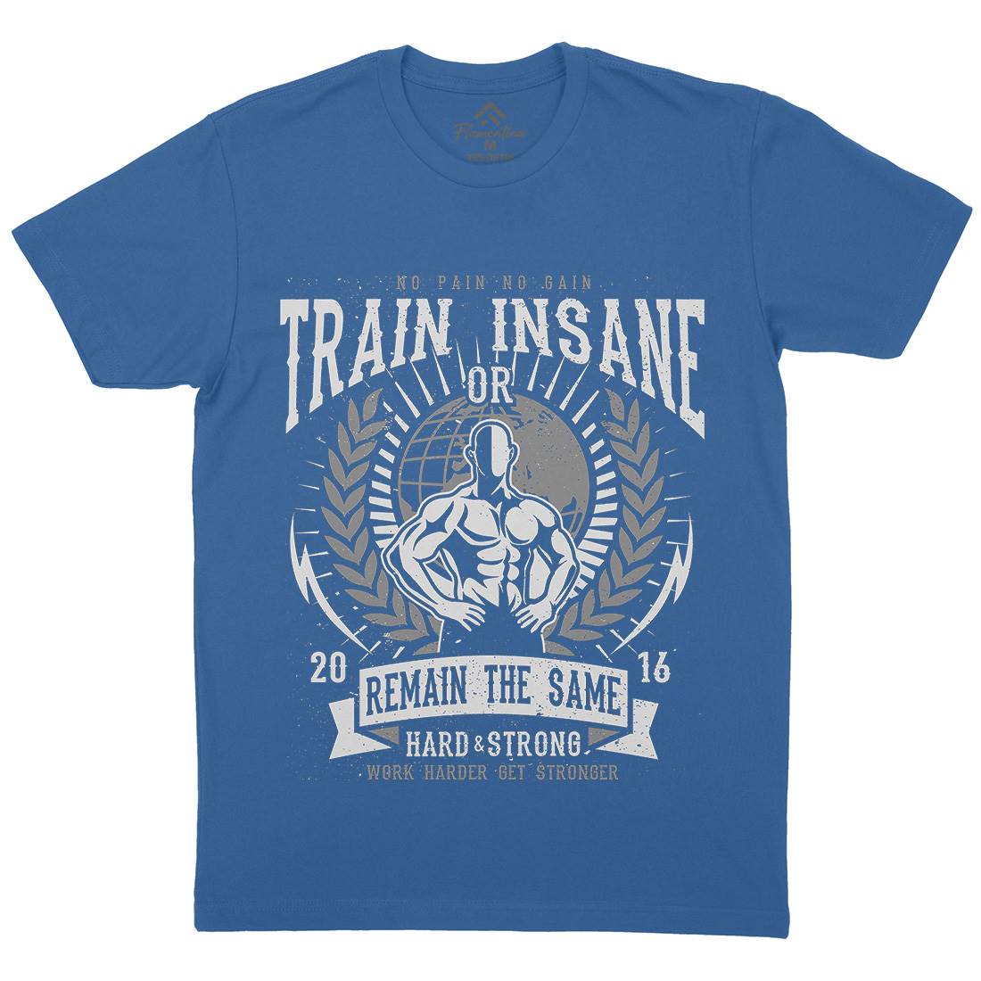 Train Insane Mens Organic Crew Neck T-Shirt Gym A183