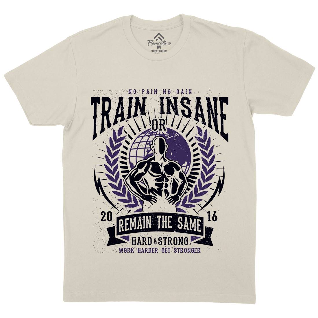 Train Insane Mens Organic Crew Neck T-Shirt Gym A183