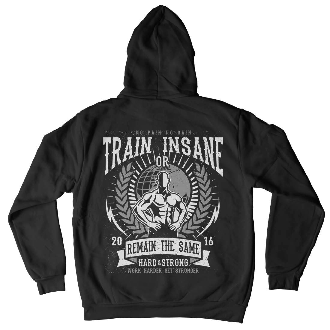 Train Insane Mens Hoodie With Pocket Gym A183