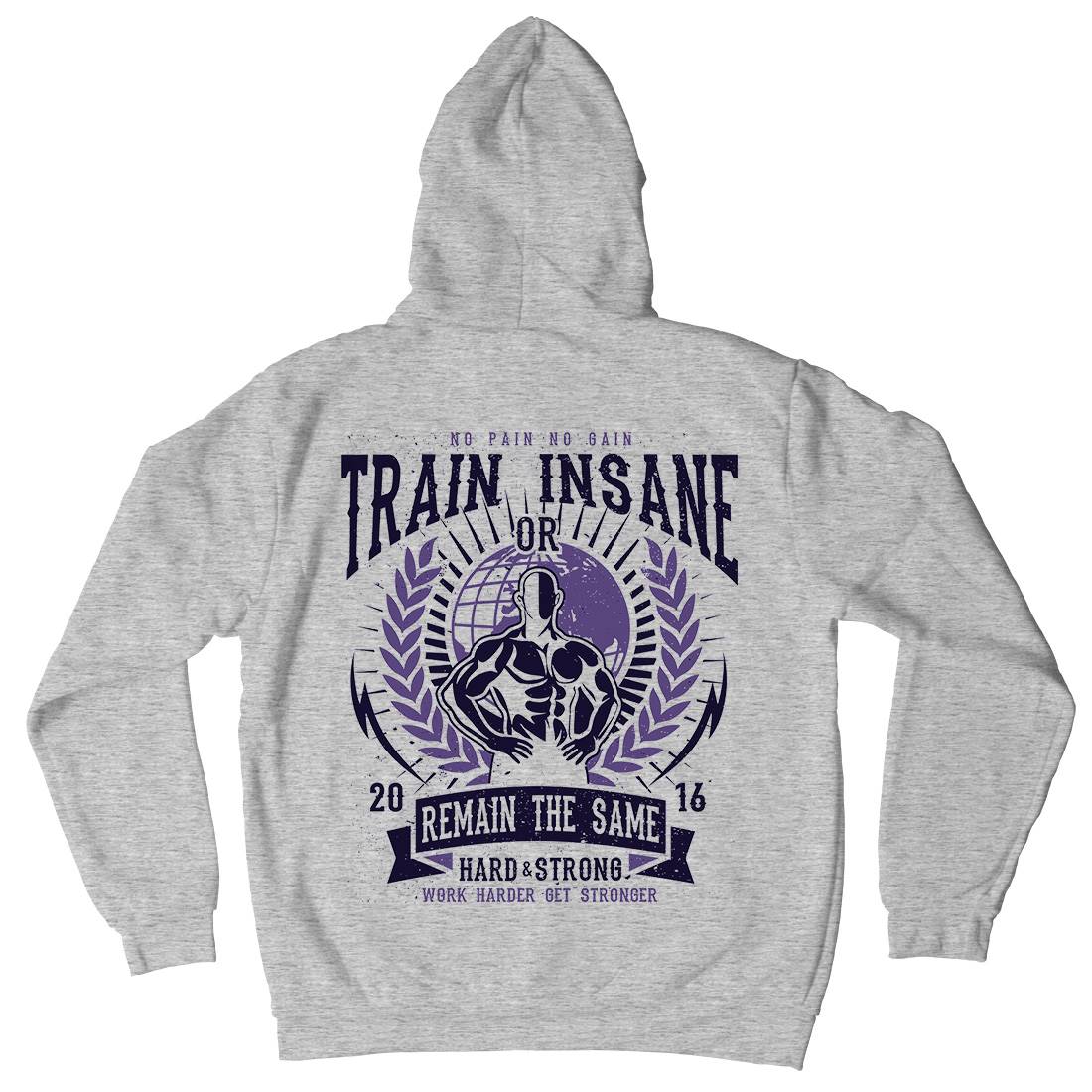 Train Insane Mens Hoodie With Pocket Gym A183