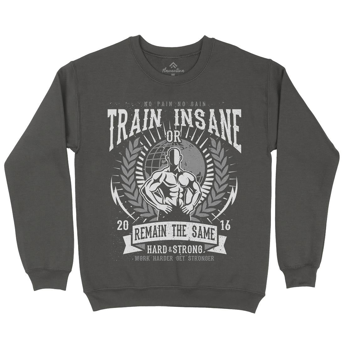 Train Insane Kids Crew Neck Sweatshirt Gym A183
