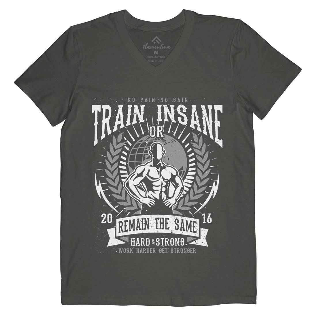 Train Insane Mens V-Neck T-Shirt Gym A183