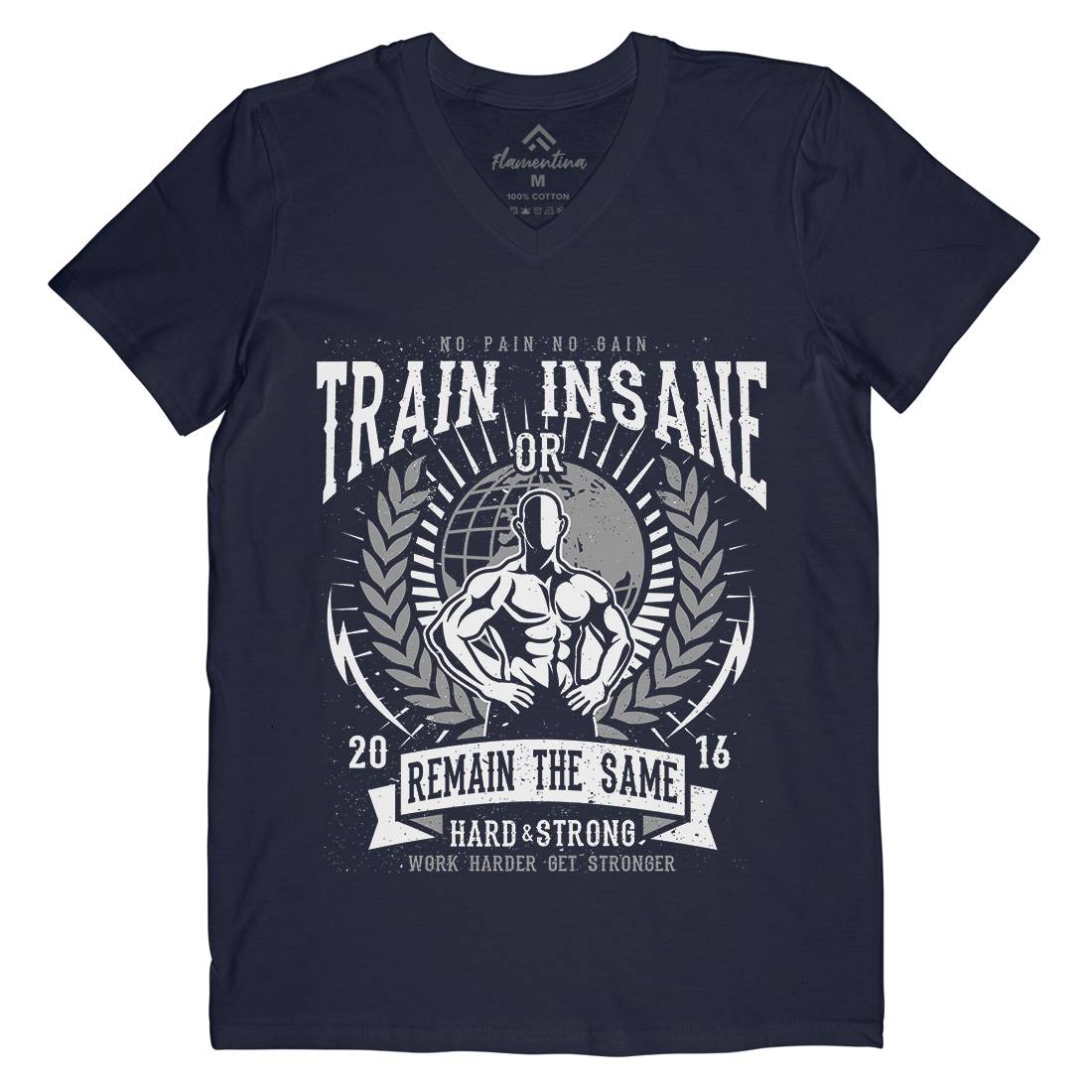 Train Insane Mens Organic V-Neck T-Shirt Gym A183