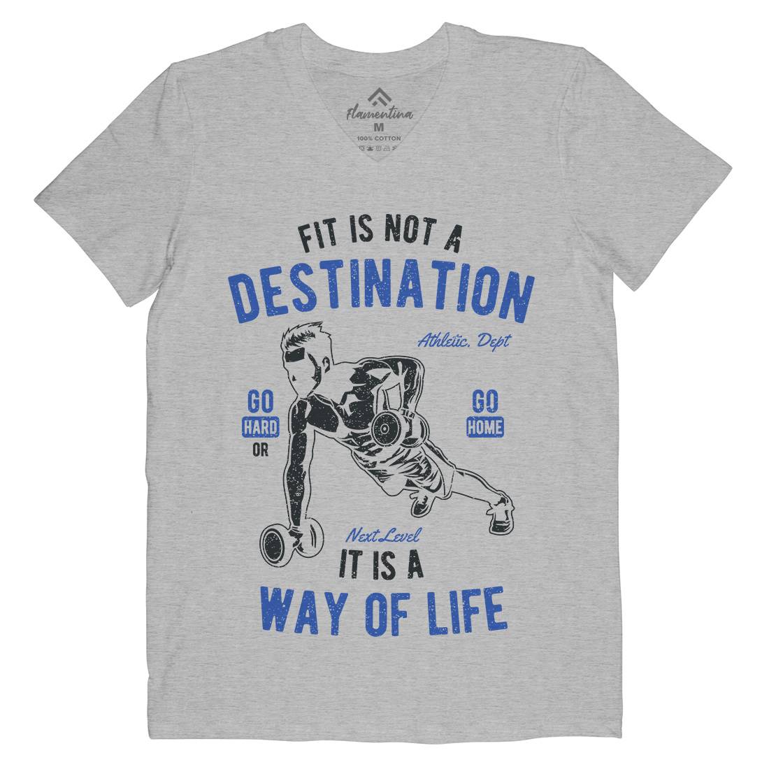 Fit Is Not A Destination Mens Organic V-Neck T-Shirt Gym A663