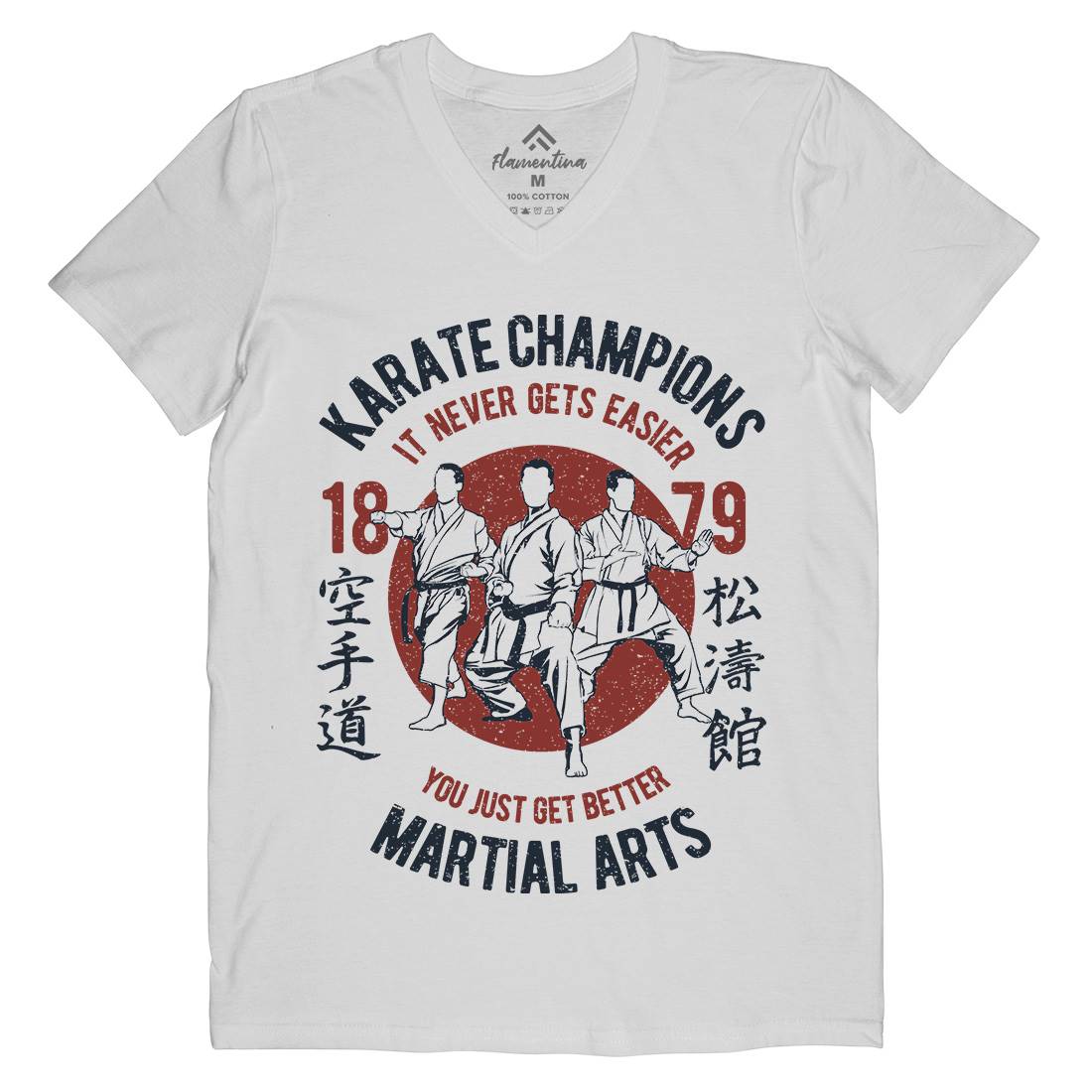 Karate Mens Organic V-Neck T-Shirt Sport A697