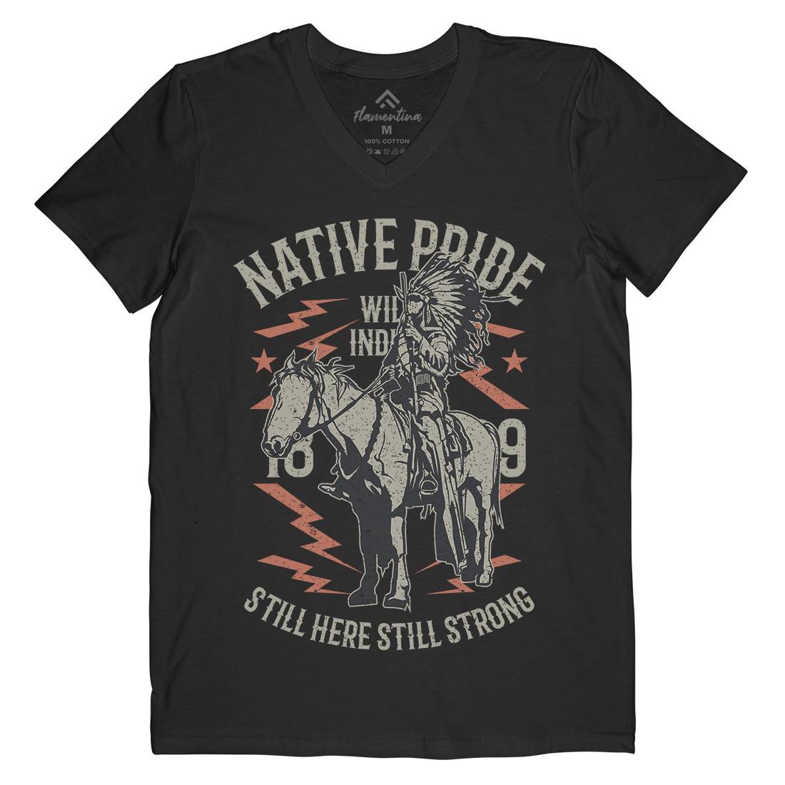 Native Pride Mens Organic V-Neck T-Shirt American A724