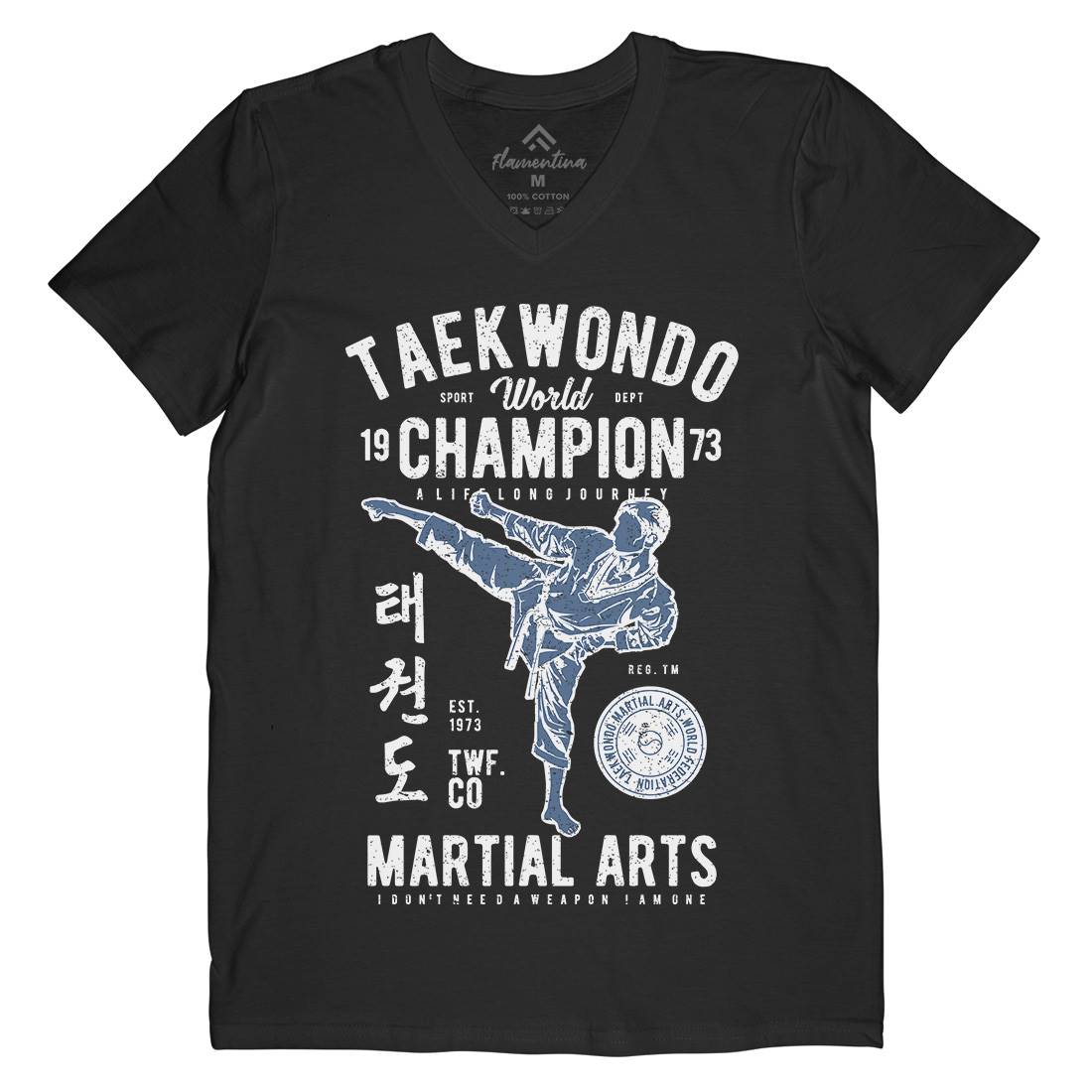 Taekwondo Mens V-Neck T-Shirt Sport A770