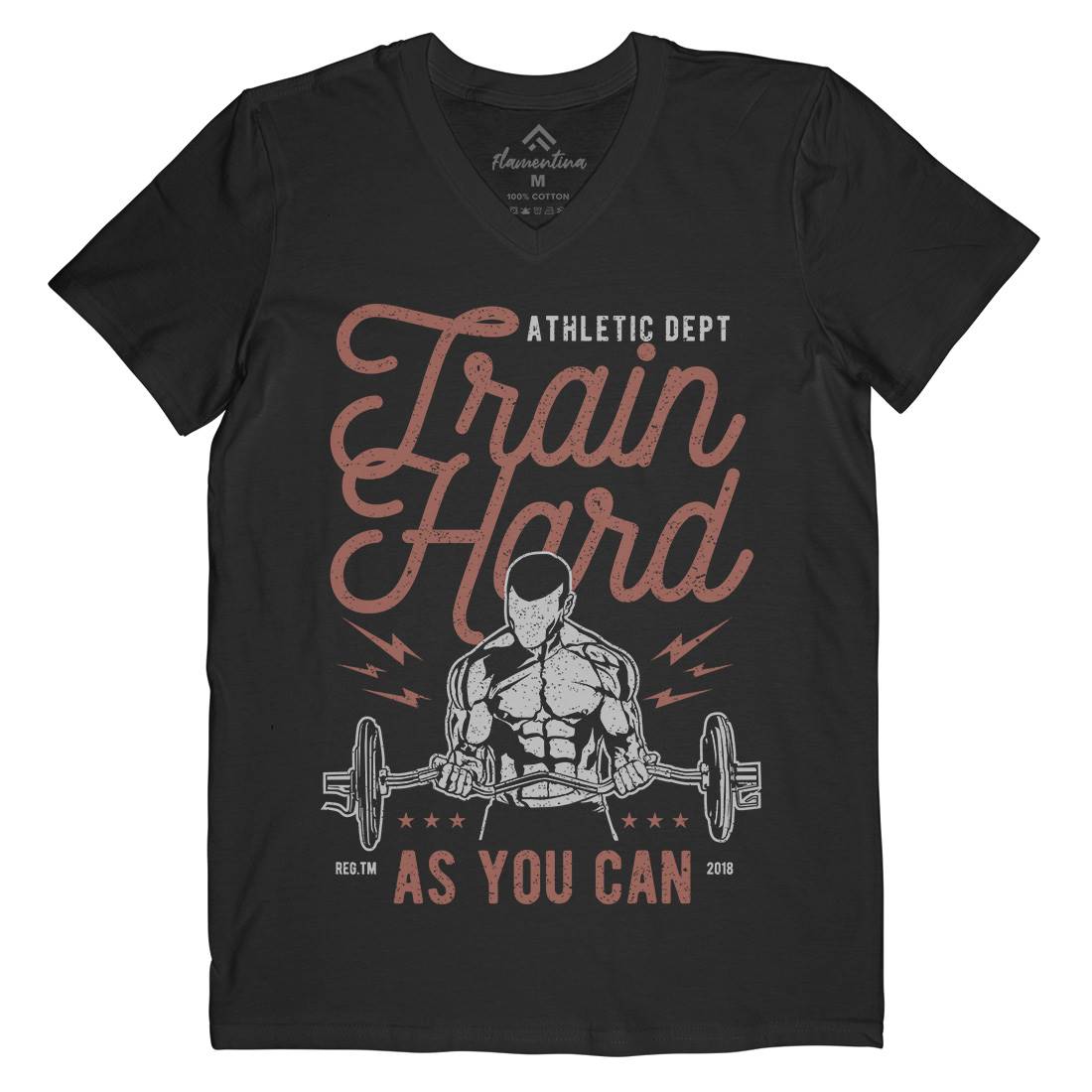 Train Hard Mens Organic V-Neck T-Shirt Gym A778