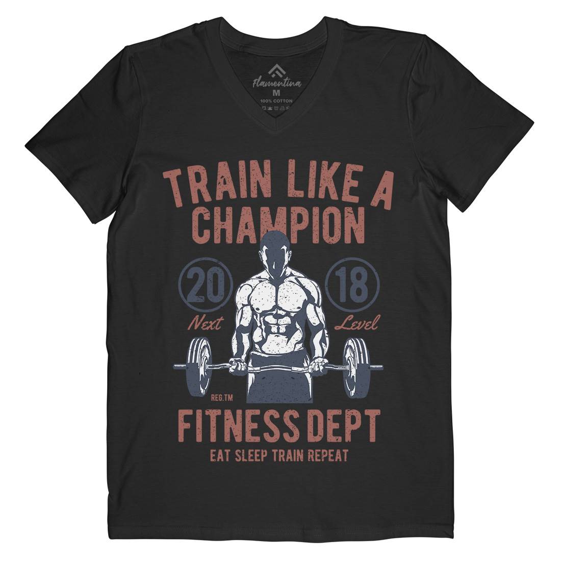 Train Like A Champion Mens Organic V-Neck T-Shirt Gym A779