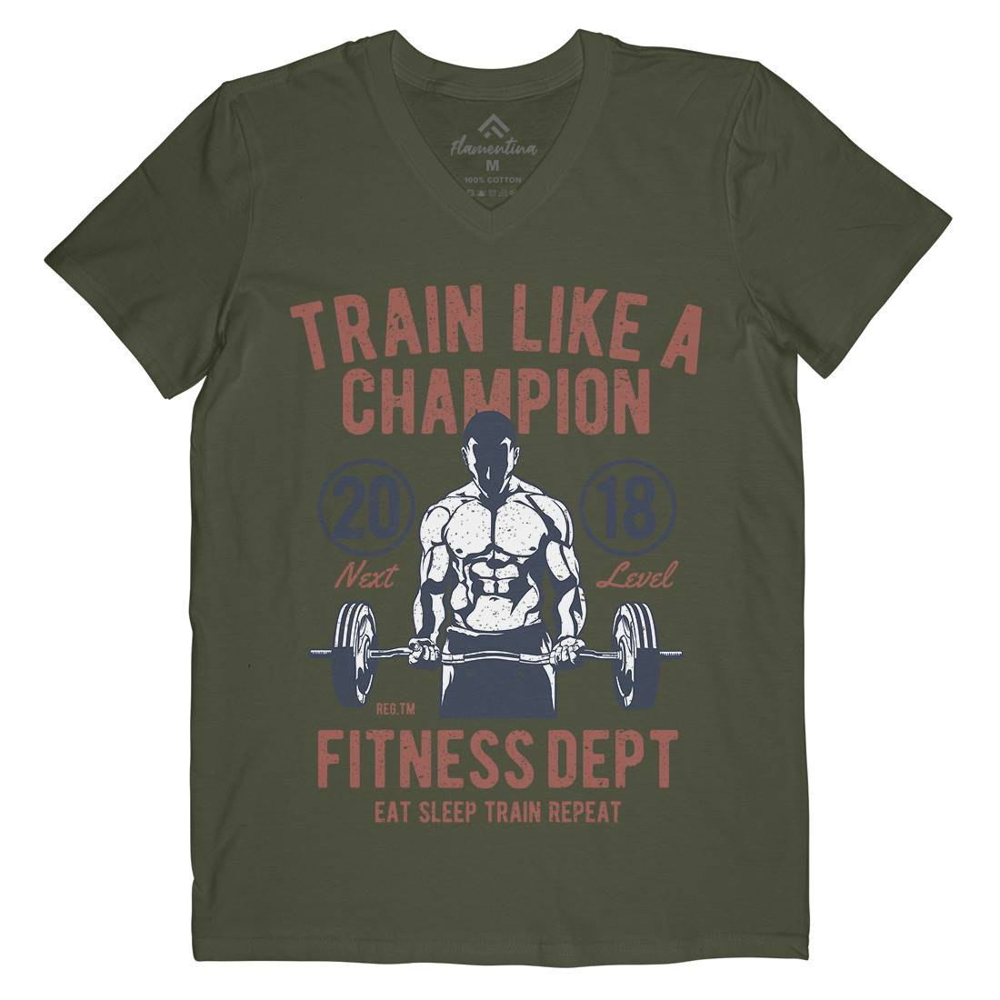 Train Like A Champion Mens Organic V-Neck T-Shirt Gym A779