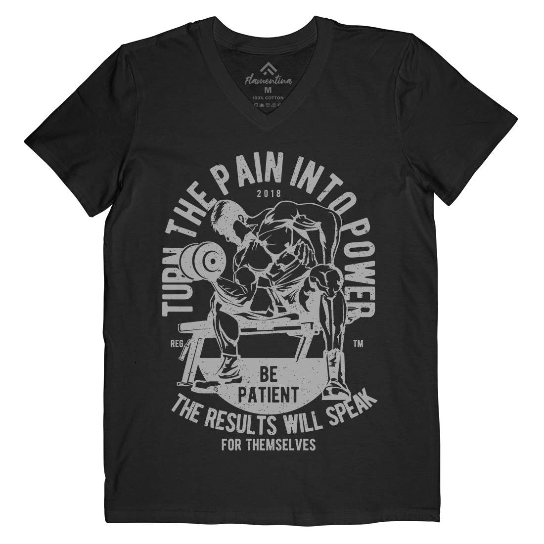 Turn The Pain Into Power Mens Organic V-Neck T-Shirt Gym A780