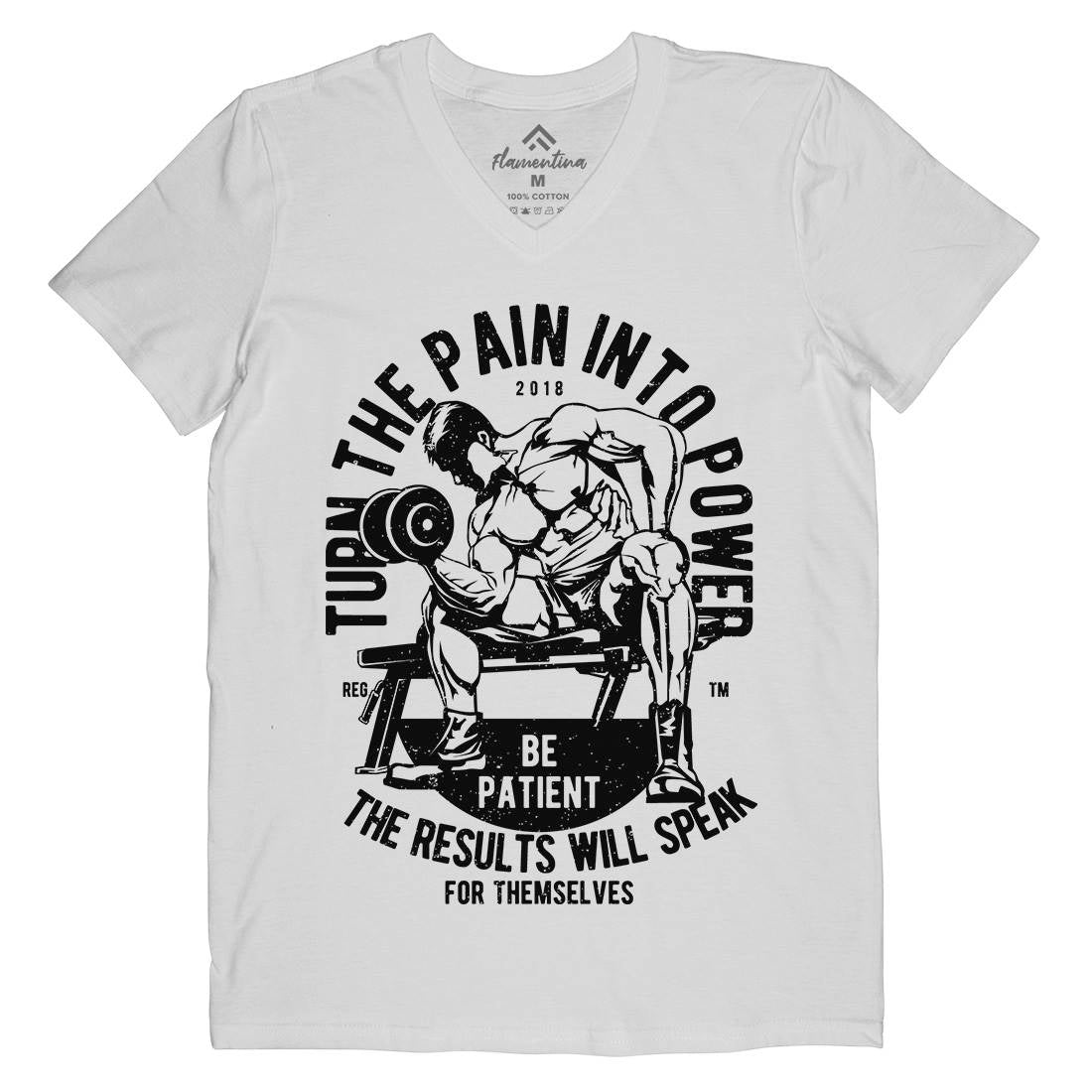 Turn The Pain Into Power Mens Organic V-Neck T-Shirt Gym A780