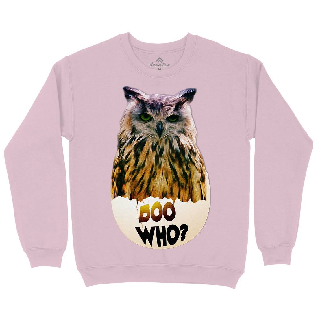 Boo Who Kids Crew Neck Sweatshirt Art A811