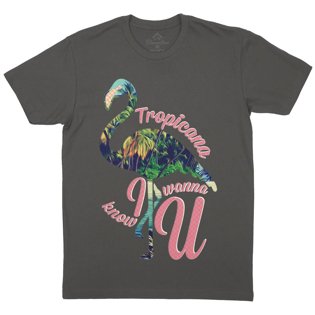 Tropicana Flamingo Mens Organic Crew Neck T-Shirt Art A936