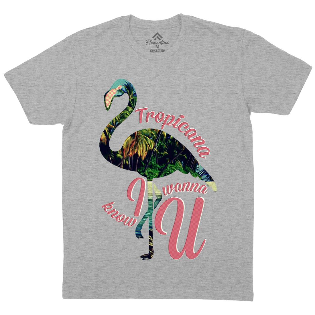 Tropicana Flamingo Mens Organic Crew Neck T-Shirt Art A936