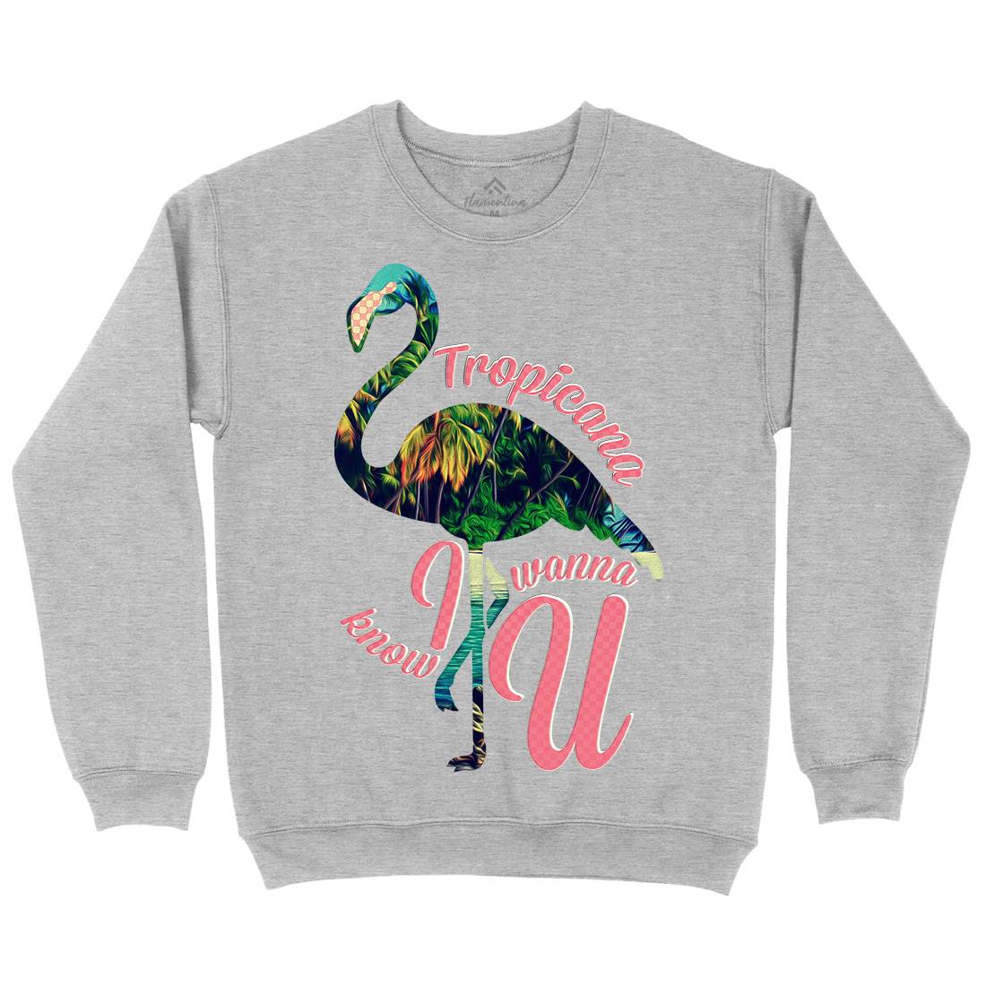 Tropicana Flamingo Mens Crew Neck Sweatshirt Art A936