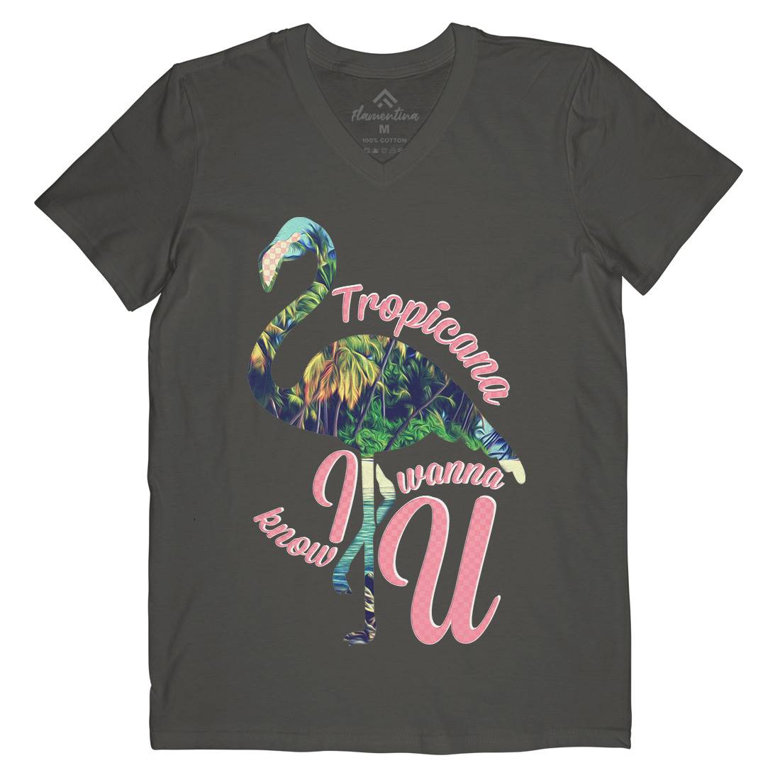 Tropicana Flamingo Mens V-Neck T-Shirt Art A936