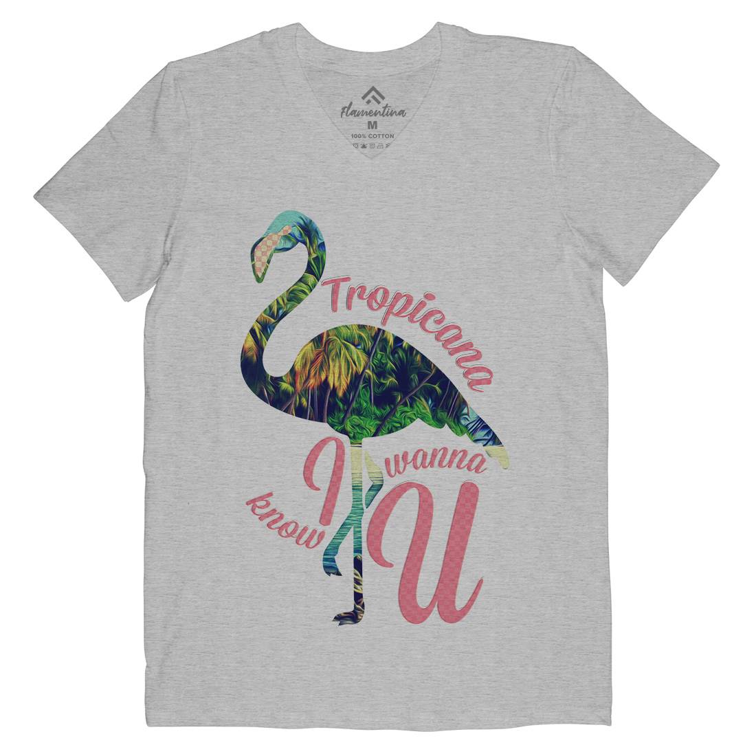 Tropicana Flamingo Mens Organic V-Neck T-Shirt Art A936