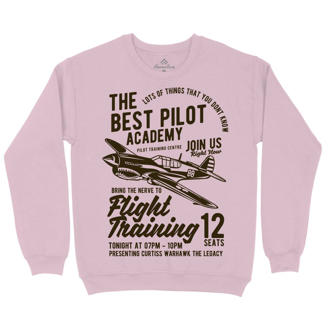 Flight Training Kids Crew Neck Sweatshirt Vehicles B209