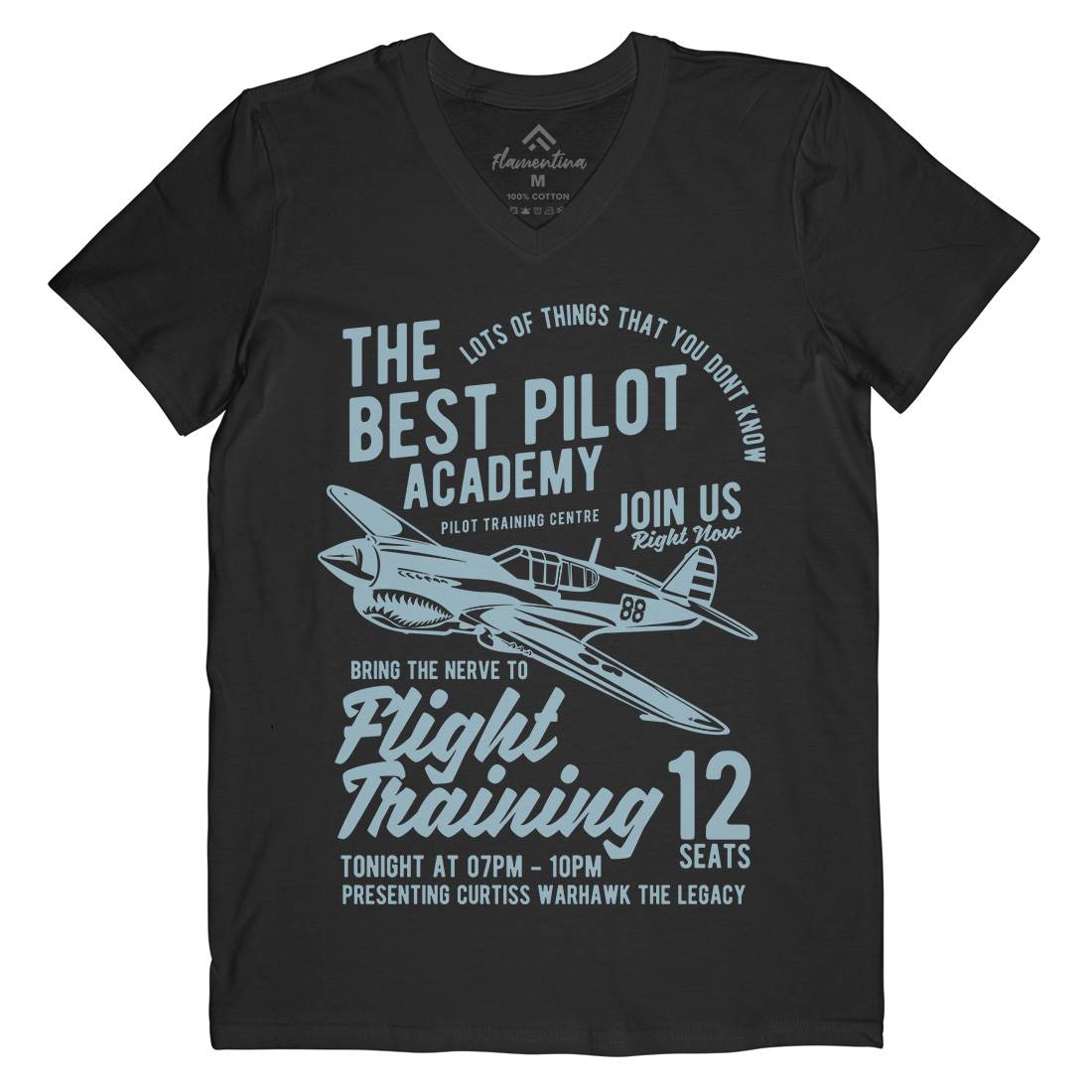 Flight Training Mens Organic V-Neck T-Shirt Vehicles B209