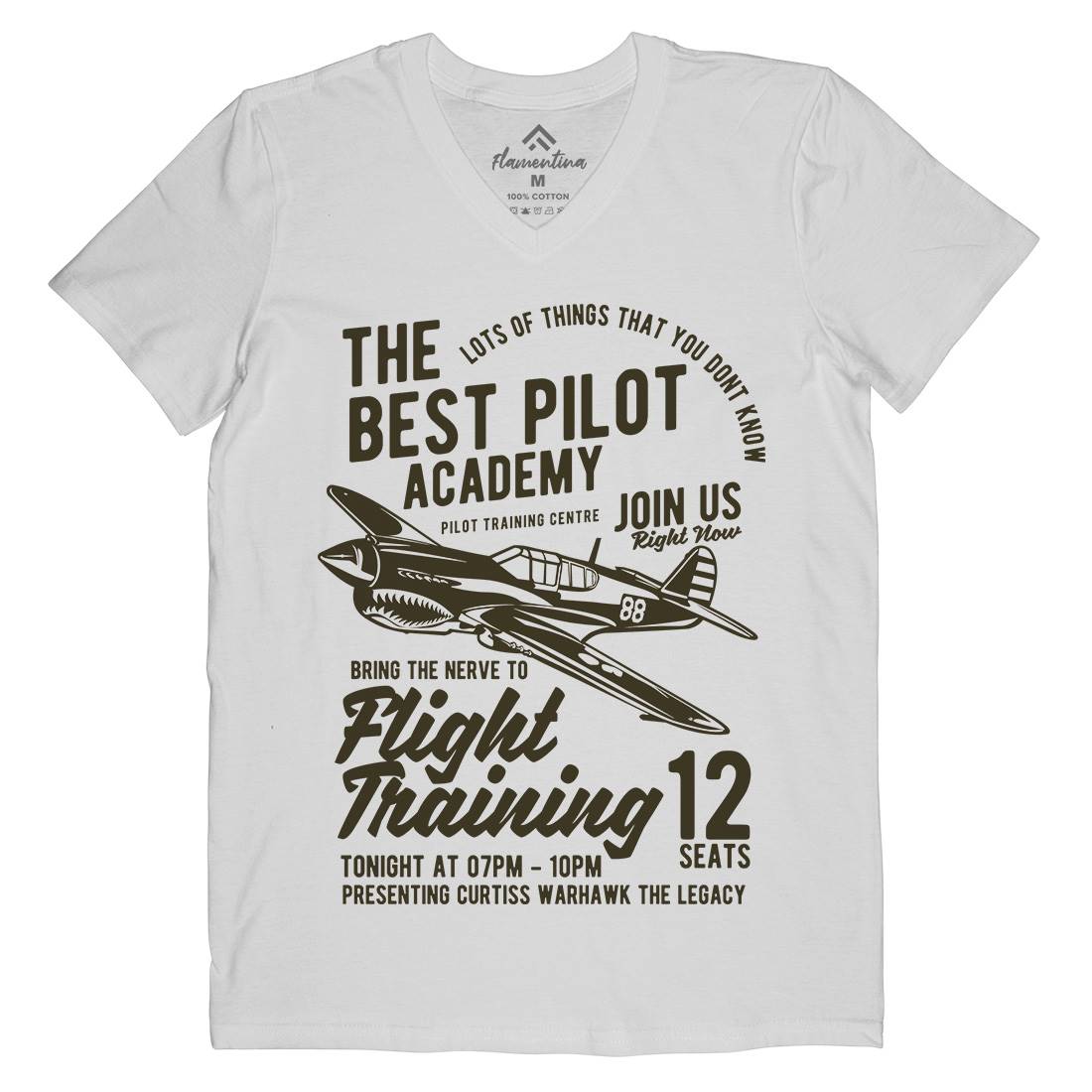 Flight Training Mens Organic V-Neck T-Shirt Vehicles B209