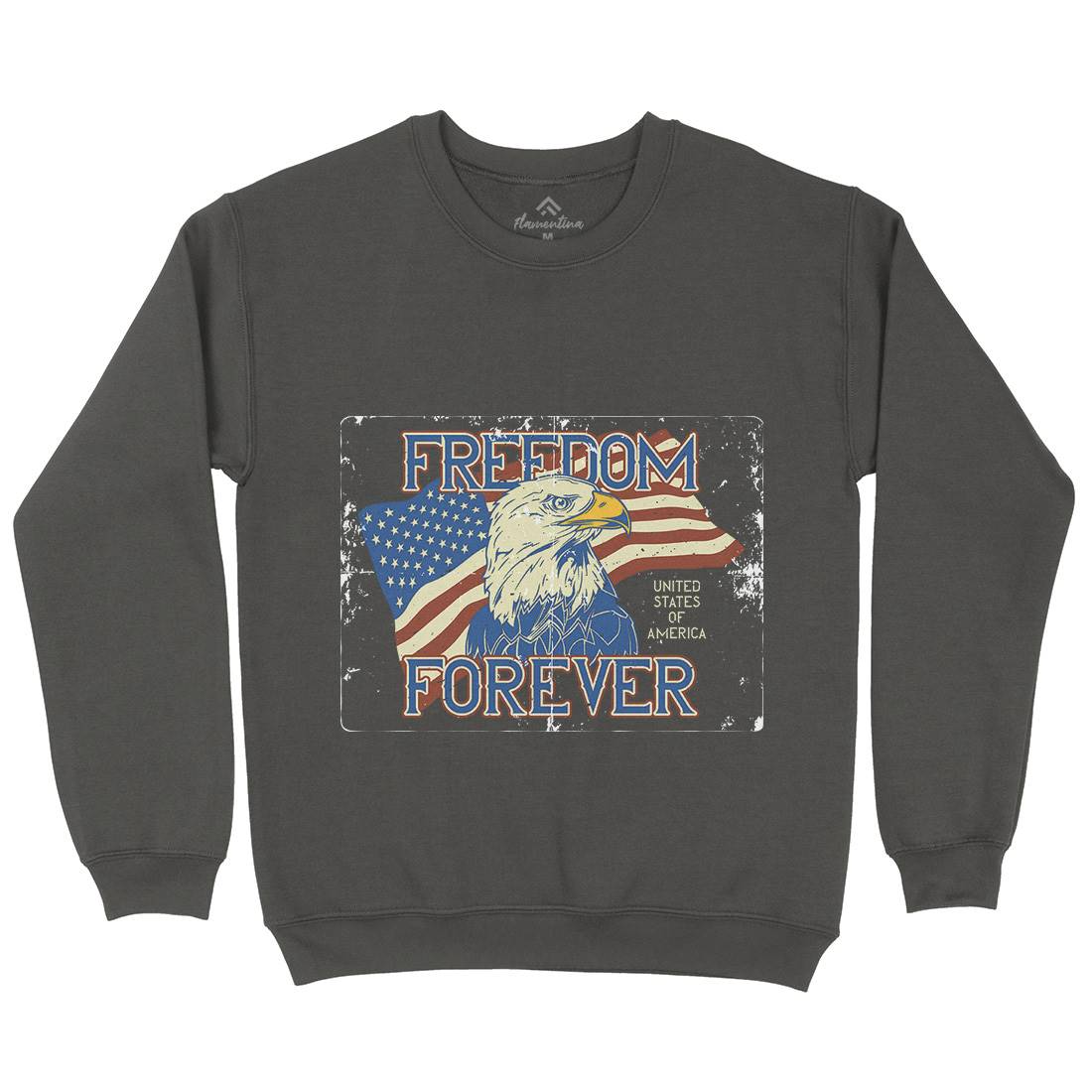 American Eagle Kids Crew Neck Sweatshirt American B274