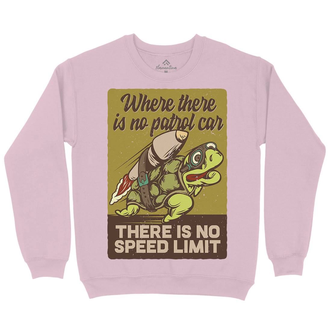 Turtle Rocket Kids Crew Neck Sweatshirt Animals B366