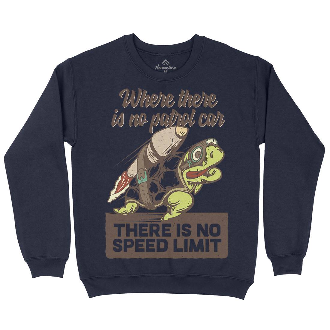 Turtle Rocket Kids Crew Neck Sweatshirt Animals B366