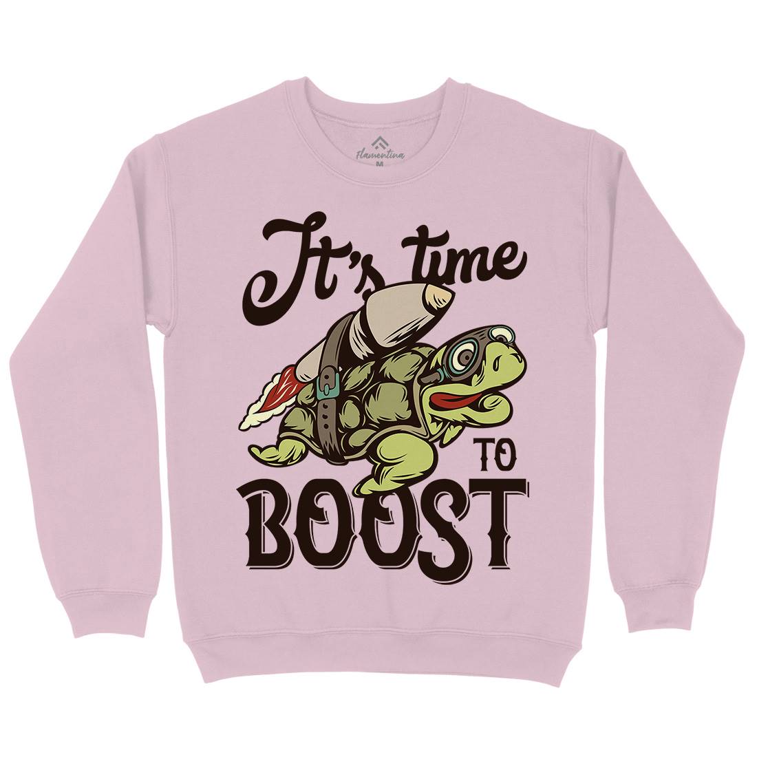 Turtle Rocket Kids Crew Neck Sweatshirt Animals B368