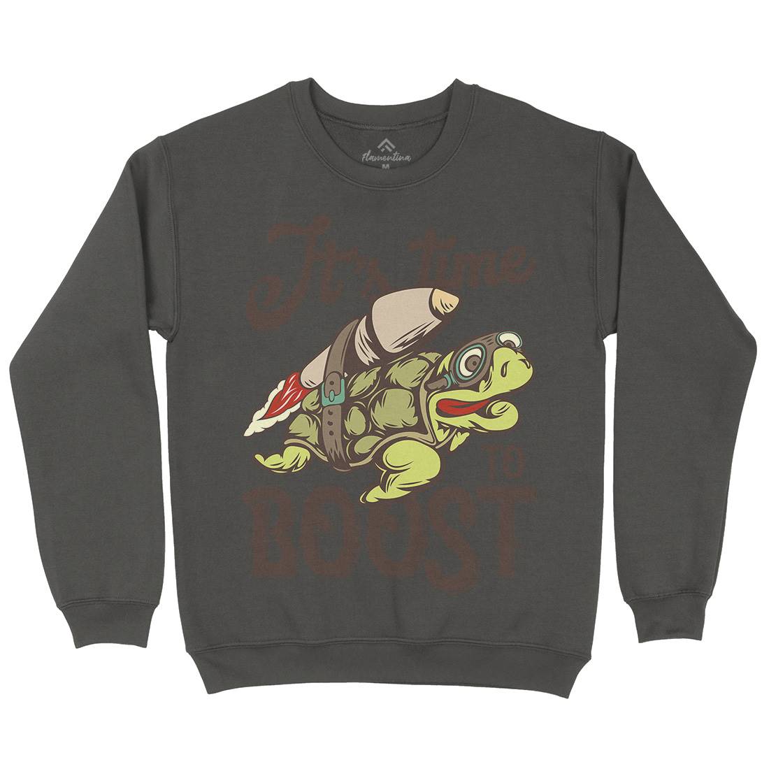 Turtle Rocket Kids Crew Neck Sweatshirt Animals B368