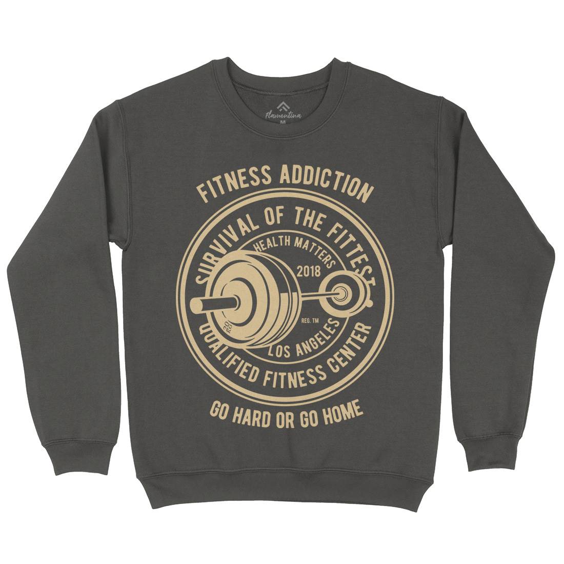 Fitness Addiction Mens Crew Neck Sweatshirt Gym B403