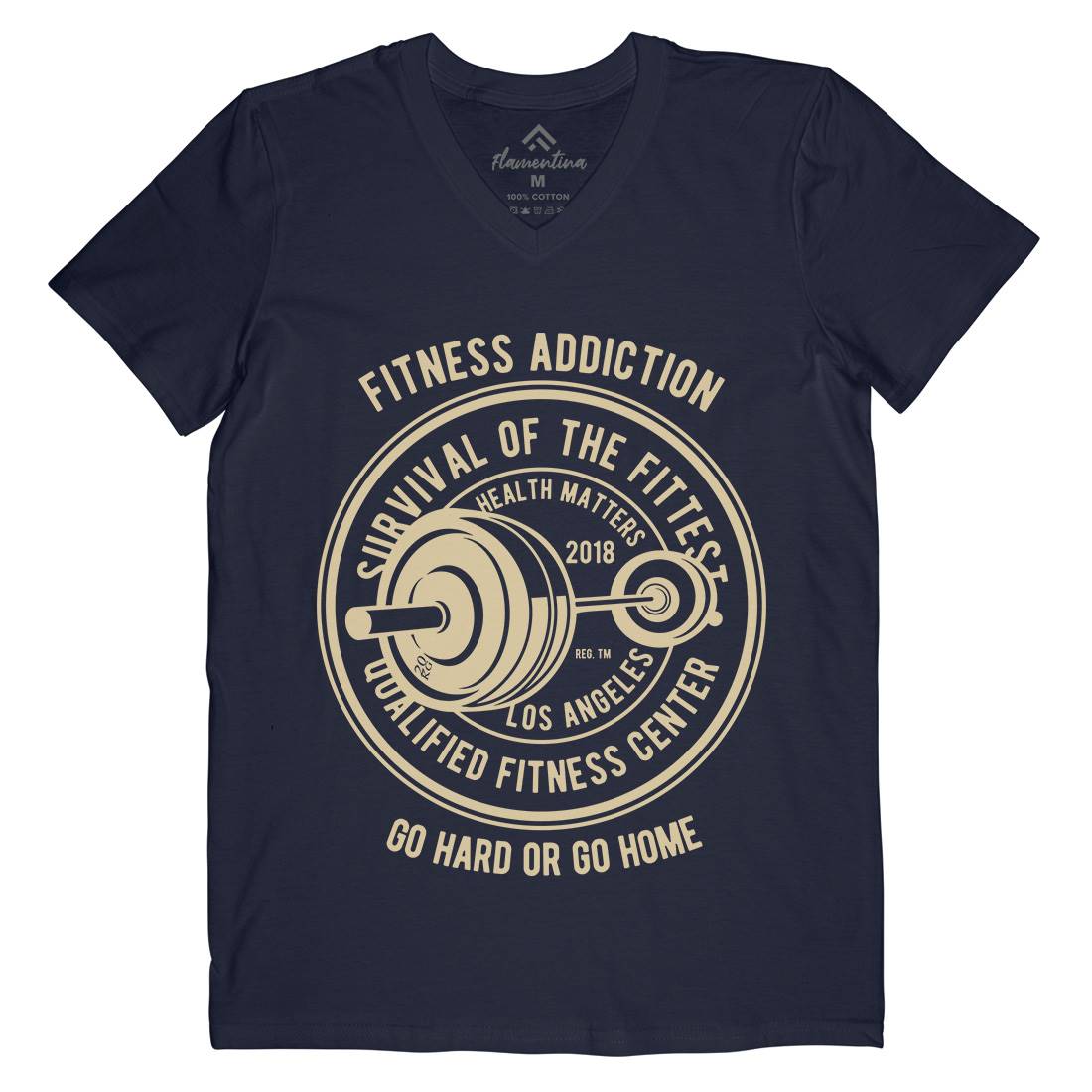 Fitness Addiction Mens Organic V-Neck T-Shirt Gym B403