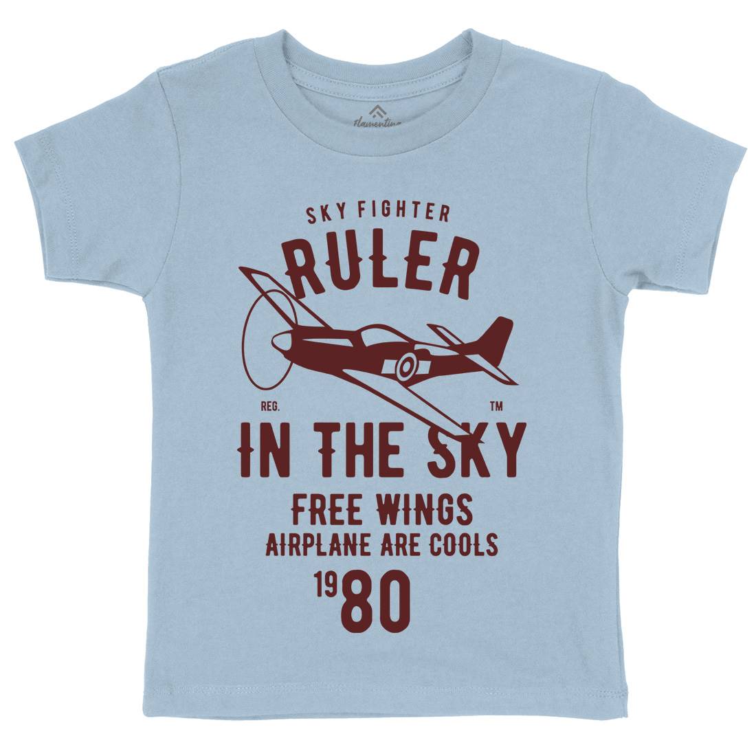 Ruler In The Sky Kids Organic Crew Neck T-Shirt Vehicles B443