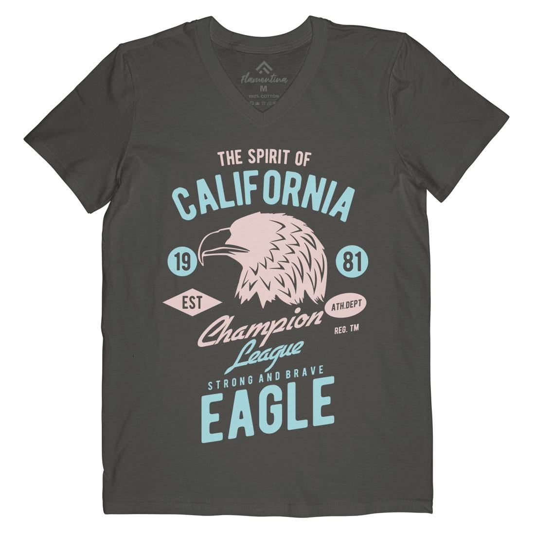 The Spirit Of California Mens V-Neck T-Shirt American B467