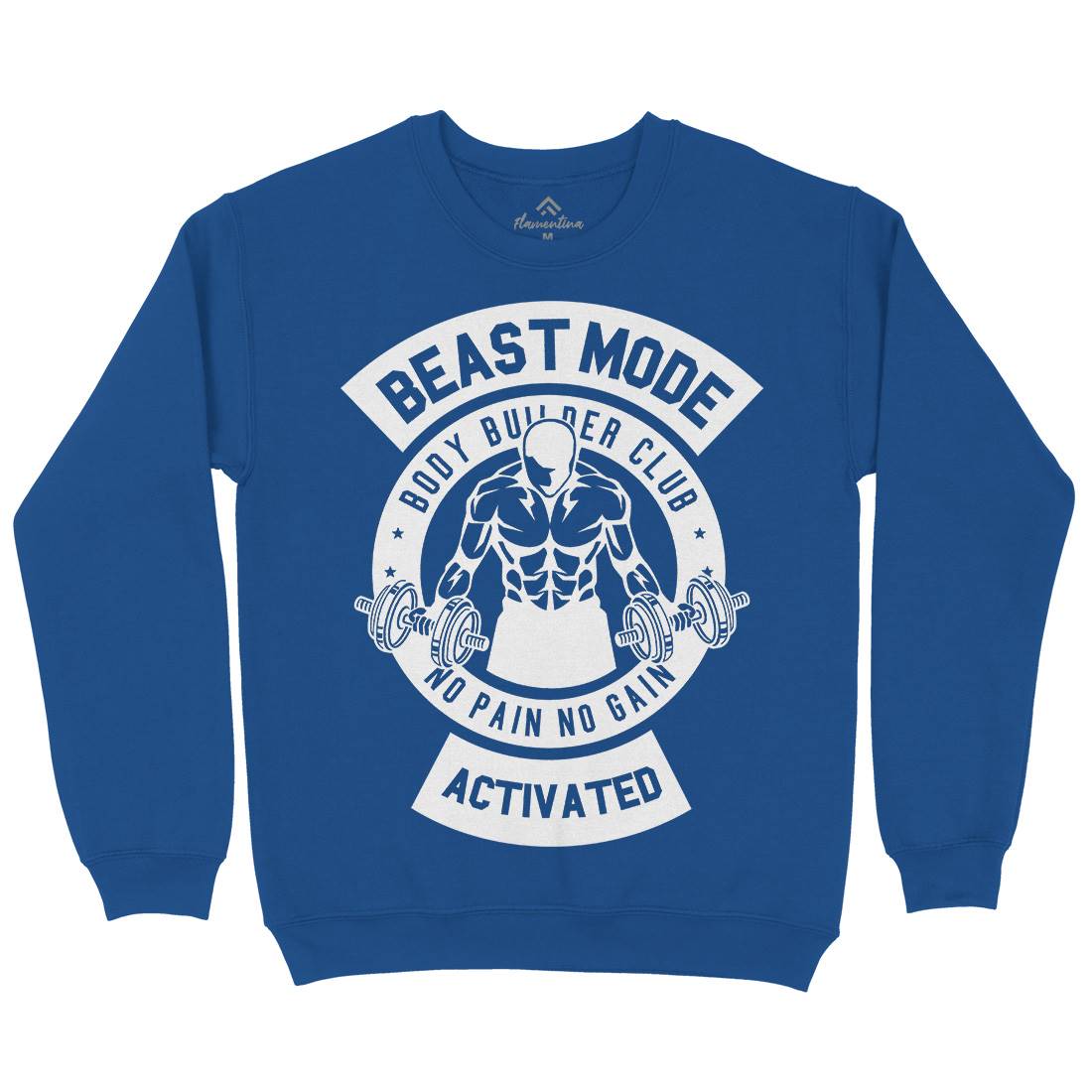 Beast Mode Activated Kids Crew Neck Sweatshirt Gym B493