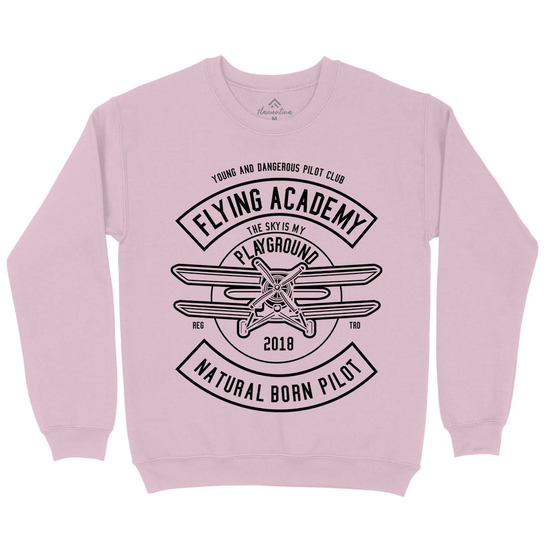 Flying Academy Kids Crew Neck Sweatshirt Vehicles B540