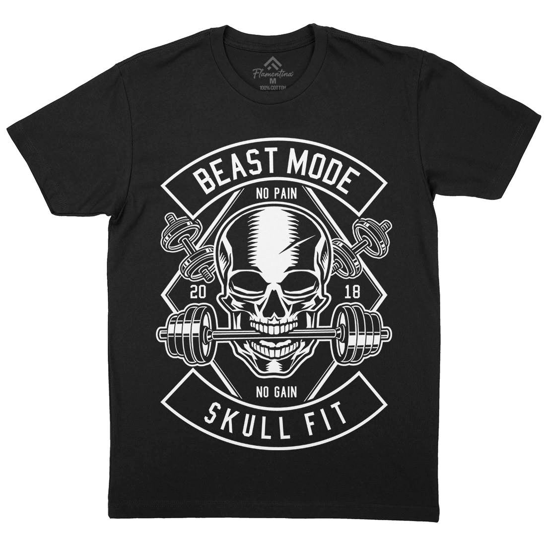 Skull Fit Mens Organic Crew Neck T-Shirt Gym B628