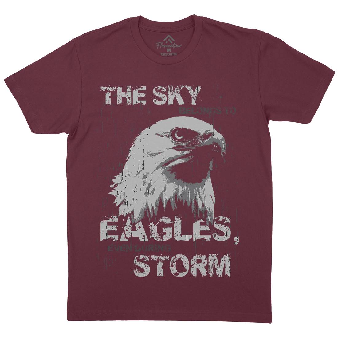 Eagle Sky Storm Mens Organic Crew Neck T-Shirt Animals B719