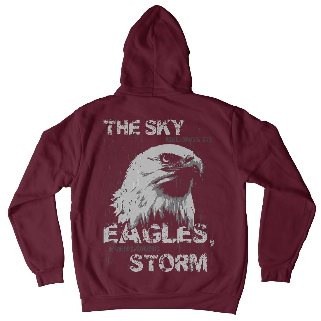 Eagle Sky Storm Mens Hoodie With Pocket Animals B719