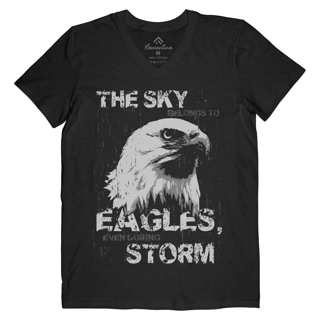Eagle Sky Storm Mens Organic V-Neck T-Shirt Animals B719