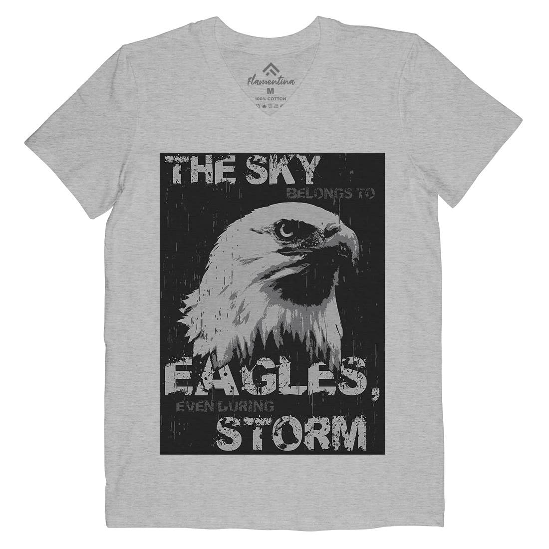 Eagle Sky Storm Mens Organic V-Neck T-Shirt Animals B719