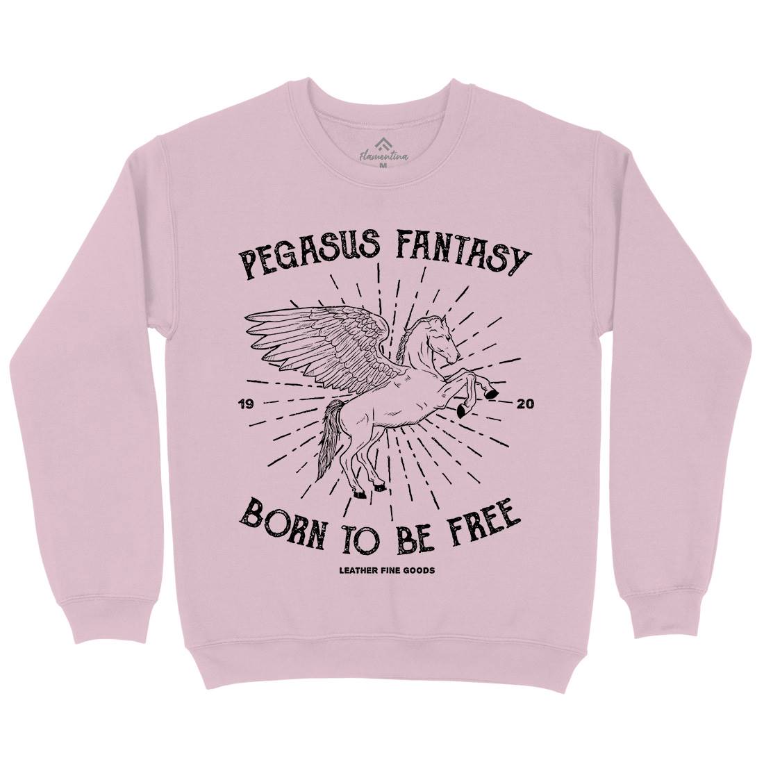 Pegasus Fantasy Kids Crew Neck Sweatshirt Animals B749