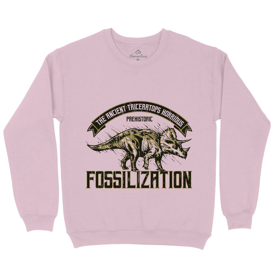 Triceratops Fossil Kids Crew Neck Sweatshirt Animals B770