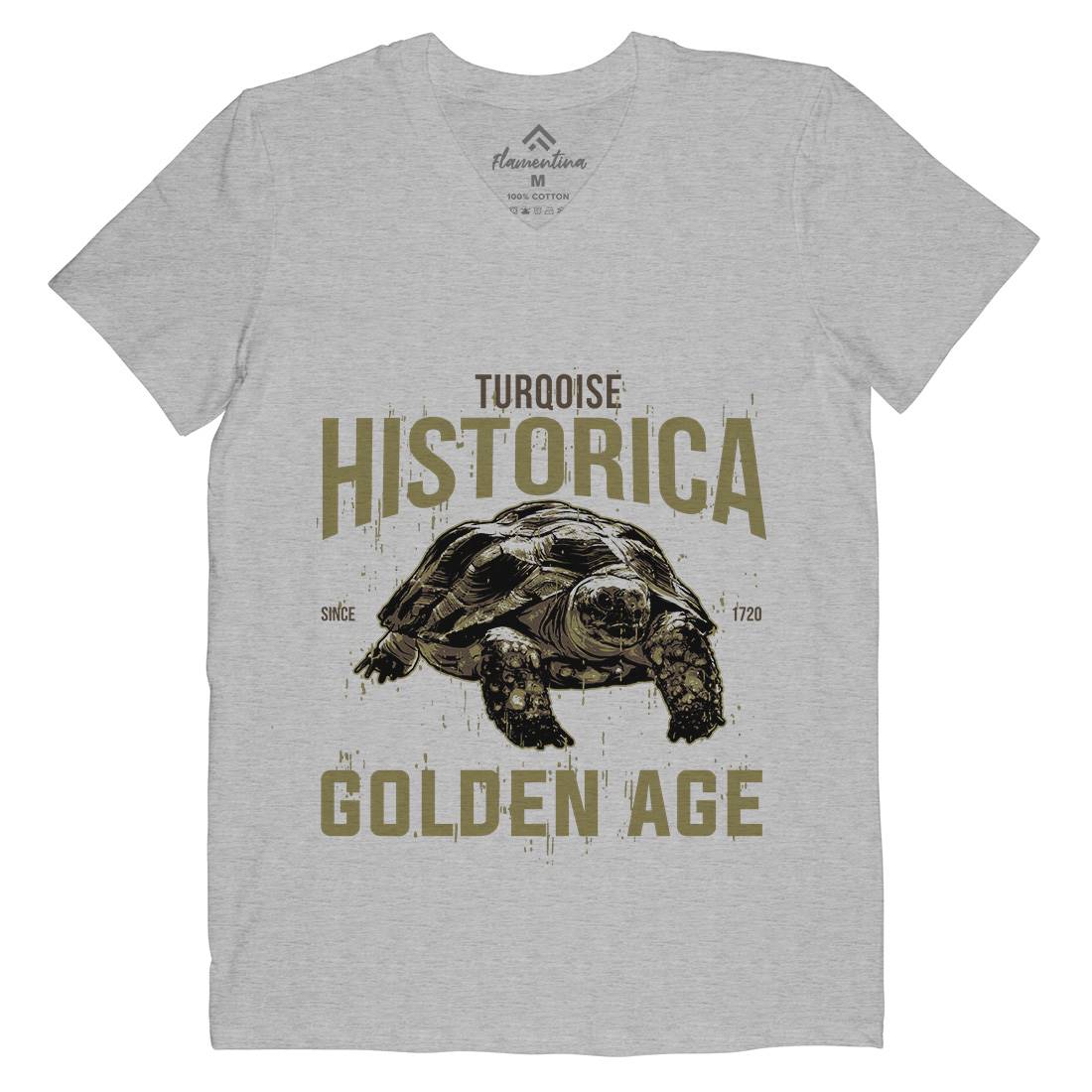 Turtle Age Mens V-Neck T-Shirt Animals B771