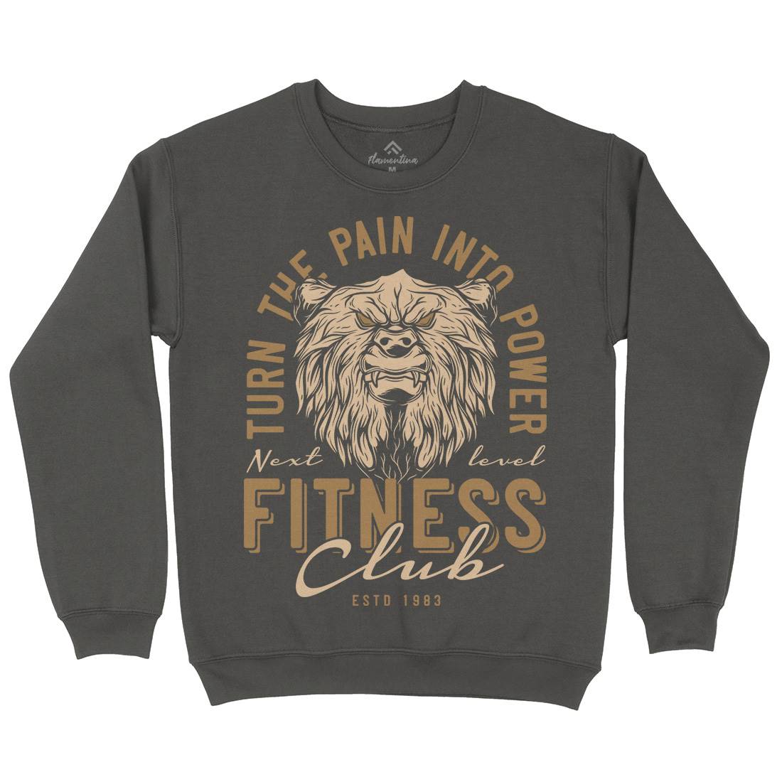 Bear Mens Crew Neck Sweatshirt Gym B789