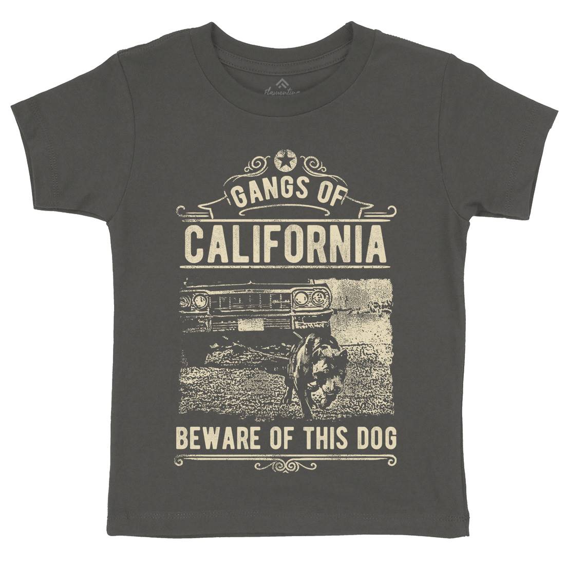Gangs Of California Kids Organic Crew Neck T-Shirt American C935