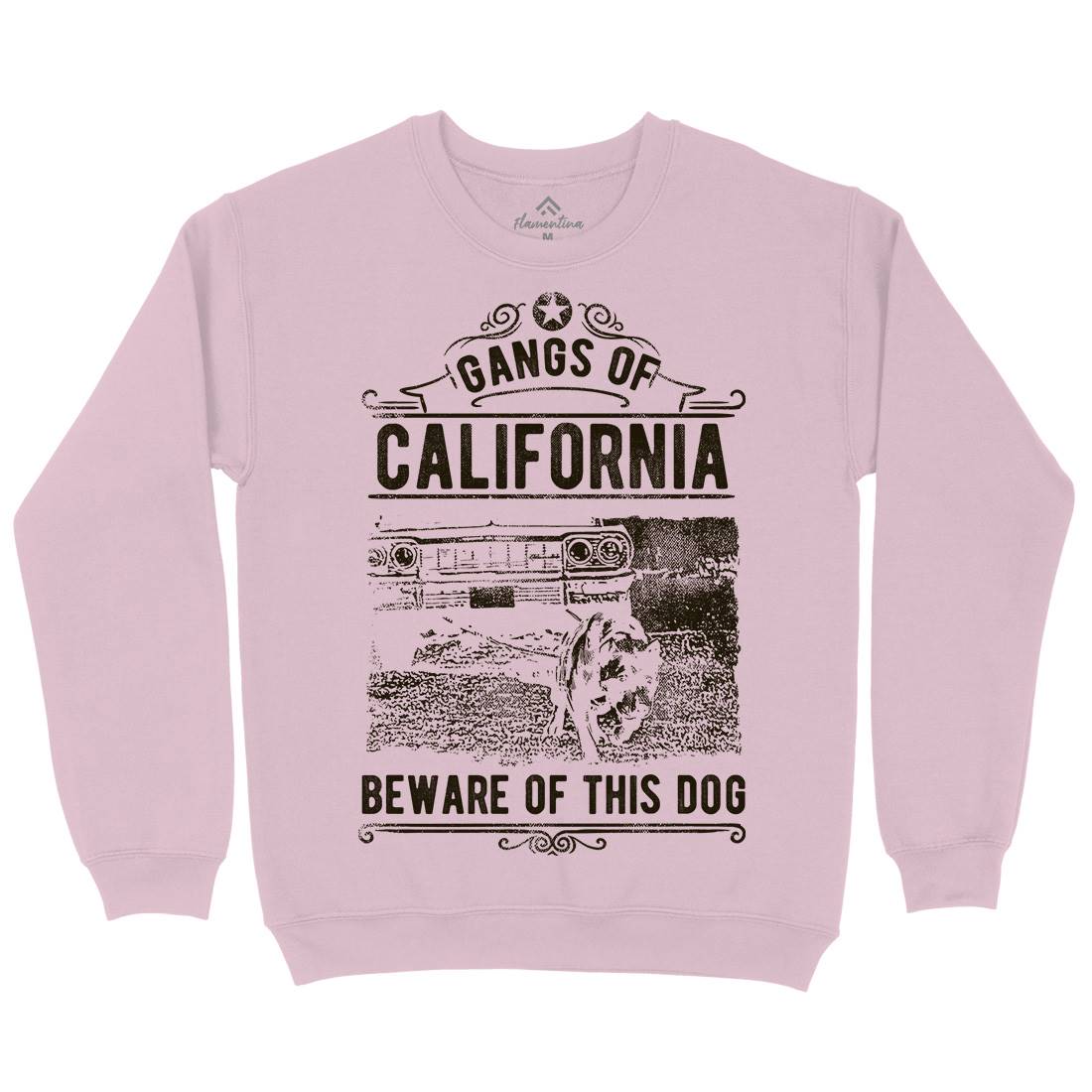 Gangs Of California Kids Crew Neck Sweatshirt American C935